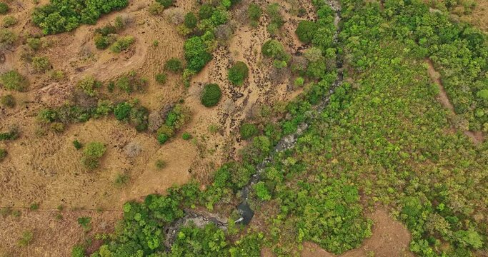 Caldera Panama Aerial v5 cinematic vertical birds eye view drone flyover jaguatta waterfall, tilt up reveals wild nature landscape in deserted remote countryside - Shot with Mavic 3 Cine - April 2022