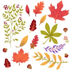 Fototapeta premium Set of colorful autumn leaves pattern