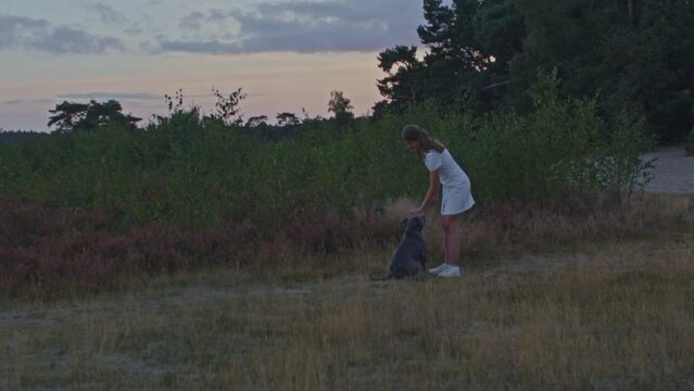 Wide view of young woman standing in heather field petting her pitbull