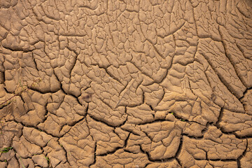 Fototapeta Dürre Boden Trockenheit Klimawandel obraz