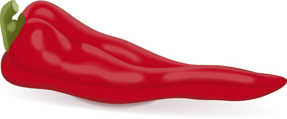 Fototapeta premium Sweet Italian chili peppers. Friggitelli. Tuscan peppers. Pepperoncini peppers. Fresh organic and healthy, vegetarian vegetables. Vector illustration isolated on white background.
