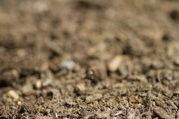 土の背景画像