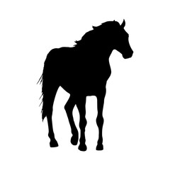 Horse Illustration