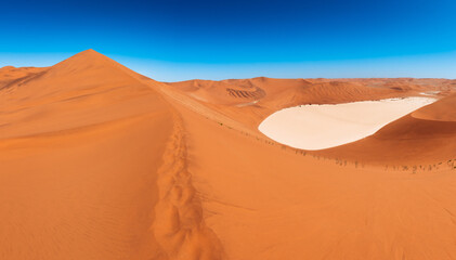 Fototapeta na wymiar dead vlei with big daddy dune, wide panorama of red dunes with blue sky at sossuvlei national park in Namibia, stunning wallpaper