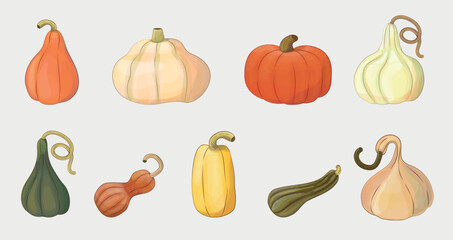 Pumpkins autumn set. Creative simple pumpkins, ripe variety nature objects. 
