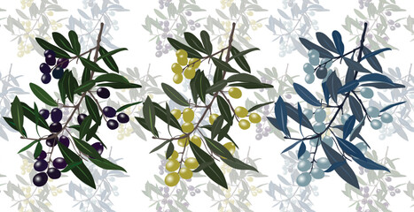 Olive Branches Vector Illustration