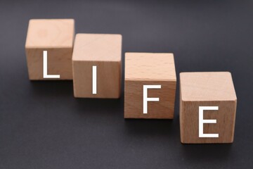 LIFEと書かれた積み木