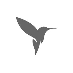 Hummingbird logo design vector template, Bird logo for modern business, simple minimalist and clean design