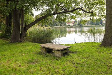 A wooden bench for a rest along the little Stienitz lake (Stienitzsee), Hennickendorf, federal...