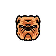 Pitbull dog head mascot logo designs character for sport and pet logo