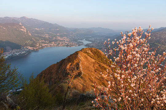 the alps, lakes and cities of brianza seen in the sunset light from the top of mount Barro, near the town of lecco, Italy - April 2022.