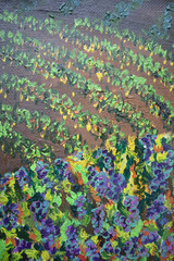 Vineyards fine art illustration. Winery plantation. Autumn wallpaper. Twilight field picturesque landscape. Biodynamic agriculture concept.