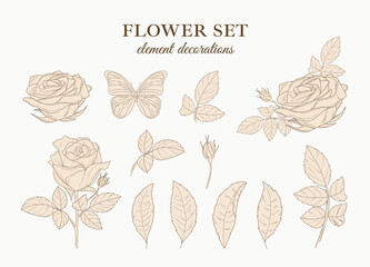 Flower illustration set