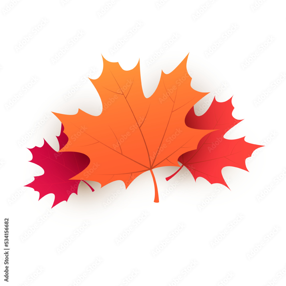 Poster red, brown and golden autumn fallen maple tree leaves on white background - design template in edita
