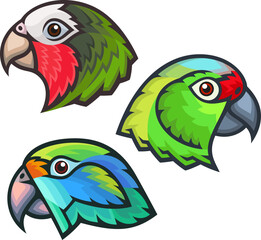 Stylized Parrots - Cuban Amazon, Diademed Amazon and Blue-cheeked Amazon