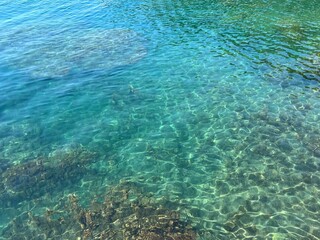 Turquoise blue sea clear transparent water with dense algae at the bottom.