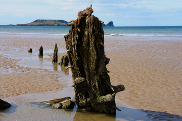 The remaining timbers of the sailing ship Helvetia in Rhossili Bay.