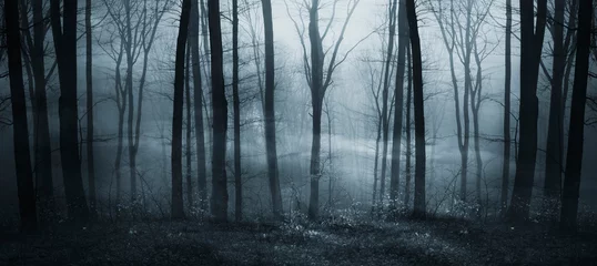 Foto auf Acrylglas dunkles Fantasy-Waldpanorama © andreiuc88