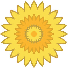Flower for Decoration
