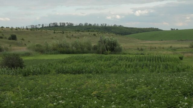 Ukrainian countryside landscape, farmland. High quality FullHD footage