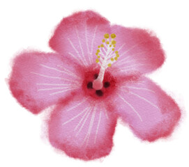 Fototapeta na wymiar Watercolor Flower for Decoration