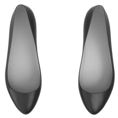 3d rendering illustration of ballerina shoes © Francesco Milanese