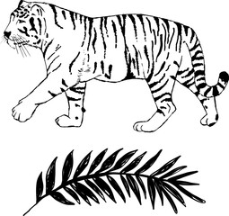 Hand Drawn Animal and branch in black and White