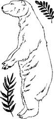 Hand Drawn Animal and branches in black and White
