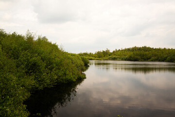Fototapeta na wymiar Small lake in Dutch National Park De Groote Peel, Nederweert, Limburg, Netherlands