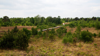 Typical landscape of Dutch National Park De Groote Peel, Nederweert, Limburg, Netherlands © roelmeijer