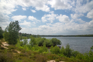 Typical landscape around Lake Reinders in Dutch National Park De Maasduinen; Bergen, Limburg, Netherlands