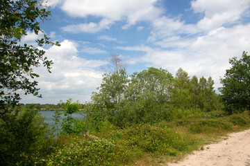 Typical landscape around Lake Reinders in Dutch National Park De Maasduinen; Bergen, Limburg, Netherlands
