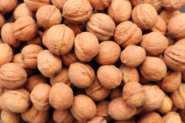 fresh walnuts are collected in the fall