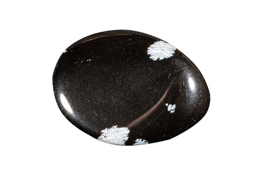 Obsidian black cup healing stone tumbled