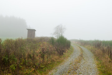 Hochsitz im Nebel am Krämershagen, Medebach, Hochsauerland