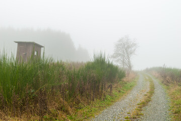 Hochsitz im Nebel am Krämershagen, Medebach, Hochsauerland