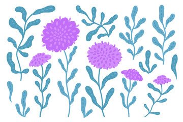 Set of flowers and plants. Floral elements for your design, decor, decoration. Vector illustration
