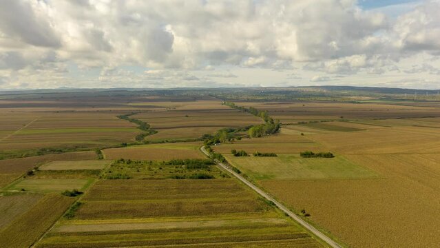 Aerial hyperlapse over golden corn fields under fast moving clouds in Romania.