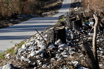 Infinity Country Road Trough Slovene Karst Area That Was Damaged by a Large Forest Fire
