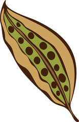 Autumn pod seeds leaf doodle hand drawn, green and brown. Element design. PNG.