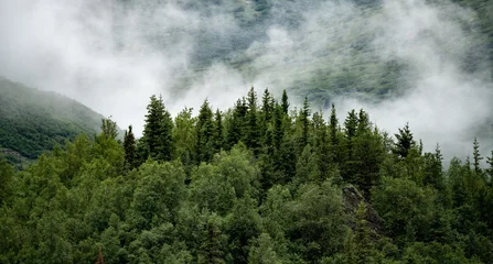 Crédence de cuisine en verre imprimé Denali fog in the mountains