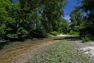wilderness area in the Nestos Delta National Park // Verlauf des Nestos im Nationalpark Nestos-Delta 