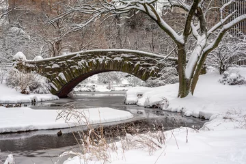 Photo sur Plexiglas Pont de Gapstow Pont de Gapstow dans Central Park