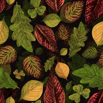 Watercolor pattern autumn foliage, wild forest on a dark background for your seamless design