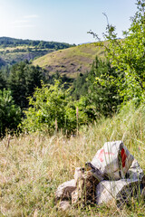 Pile of stones with red arrow, selective focus