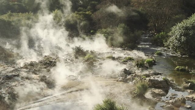 Te Pui Pohuta geyser in geothermal volcanic park Rotorua New Zealand. High quality FullHD footage
