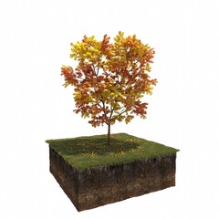autumn tree isolated on white background, 3D illustration, cg render