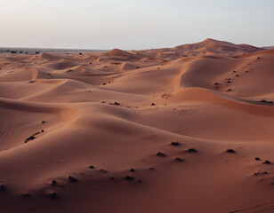 Fototapeta na wymiar morocco dunes with low sun sunset sand travel sahara desert with orange colour 