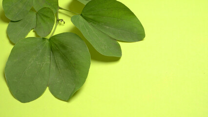 Indian Festival Dussehra, showing golden leaf and flowers on moody background. Greeting card.