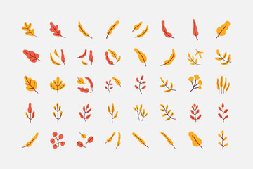 Yellow Leaf illustration vector set